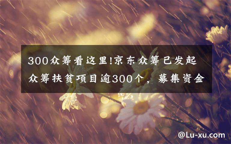 300众筹看这里!京东众筹已发起众筹扶贫项目逾300个，募集资金超1490万元