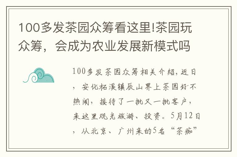 100多发茶园众筹看这里!茶园玩众筹，会成为农业发展新模式吗？