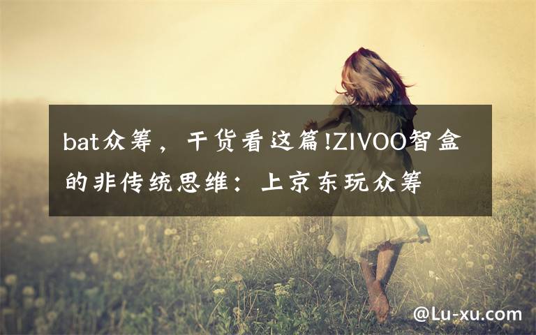 bat众筹，干货看这篇!ZIVOO智盒的非传统思维：上京东玩众筹