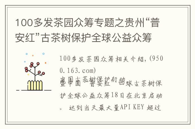 100多发茶园众筹专题之贵州“普安红”古茶树保护全球公益众筹在京启动