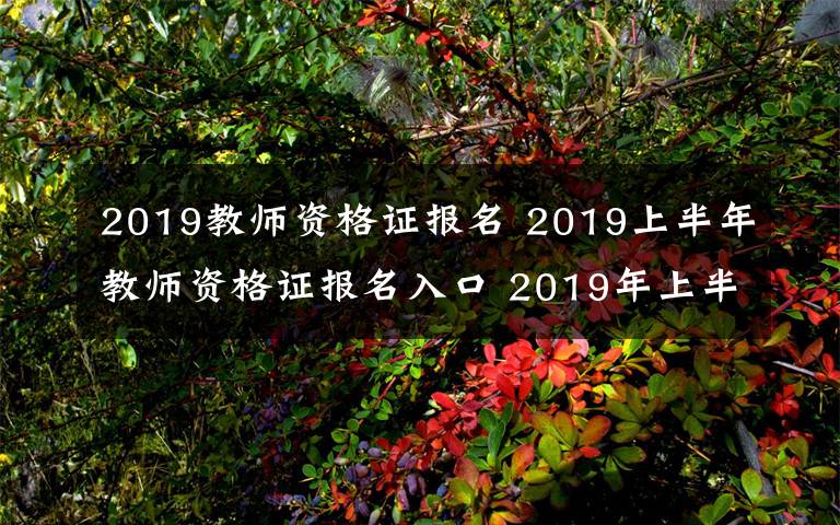 2019教师资格证报名 2019上半年教师资格证报名入口 2019年上半年教师资格证报名时间