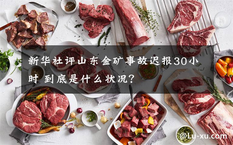 新华社评山东金矿事故迟报30小时 到底是什么状况？