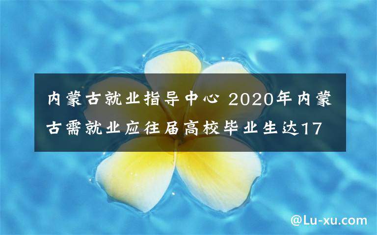 内蒙古就业指导中心 2020年内蒙古需就业应往届高校毕业生达17.1万人