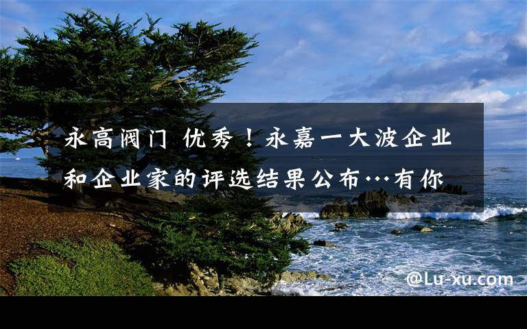 永高阀门 优秀！永嘉一大波企业和企业家的评选结果公布…有你熟悉的吗？