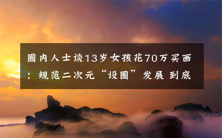 圈内人士谈13岁女孩花70万买画：规范二次元“设圈”发展 到底是什么状况？