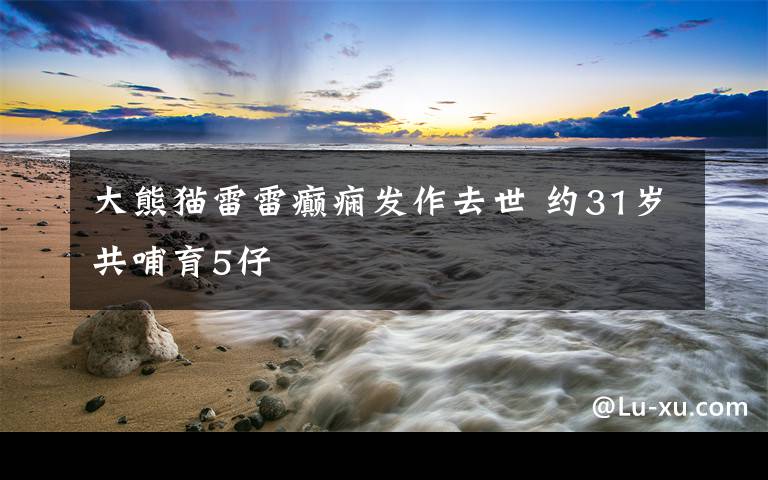 大熊猫雷雷癫痫发作去世 约31岁共哺育5仔