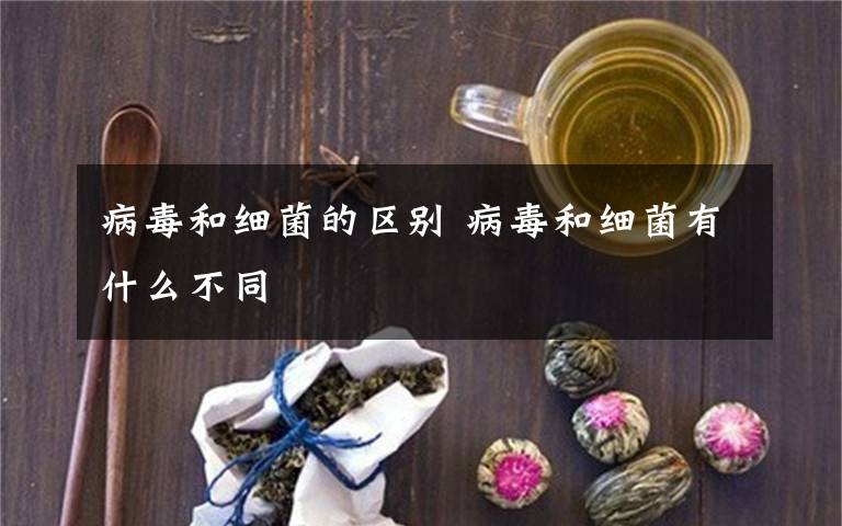 病毒和细菌的区别 病毒和细菌有什么不同