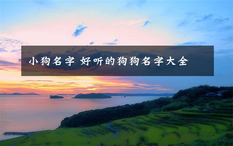 小狗名字 好听的狗狗名字大全