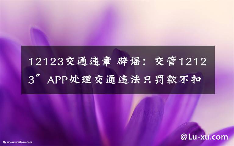 12123交通违章 辟谣：交管12123″APP处理交通违法只罚款不扣分？假的！