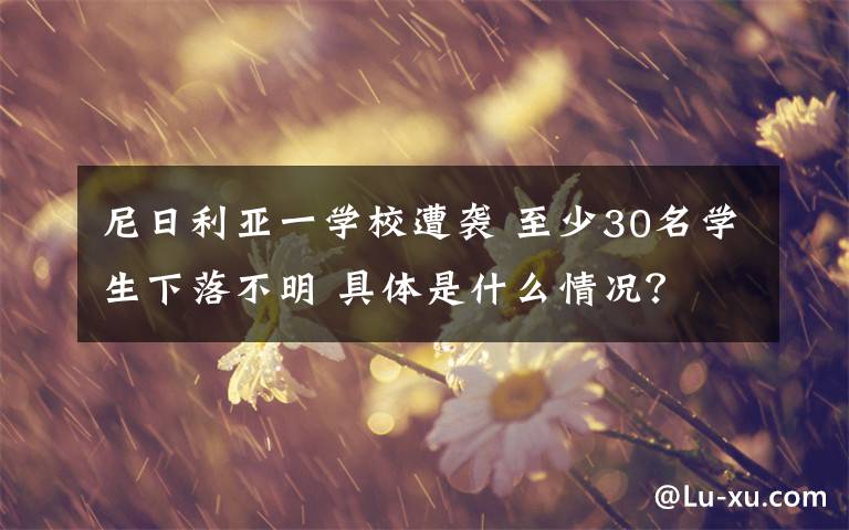 尼日利亚一学校遭袭 至少30名学生下落不明 具体是什么情况？