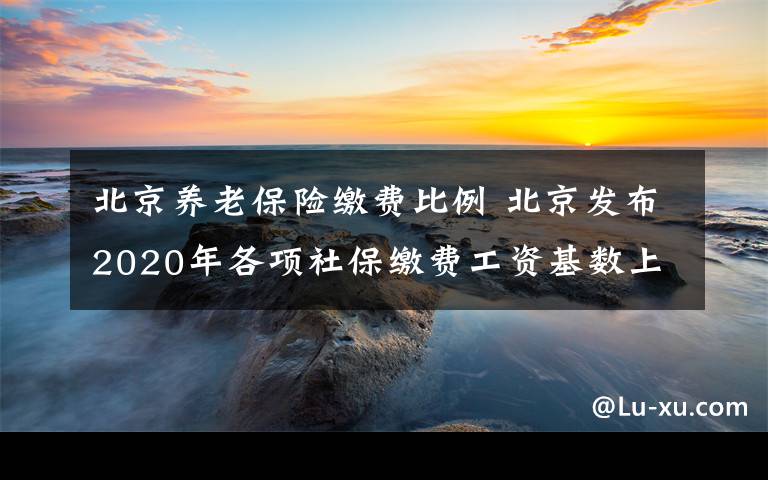 北京养老保险缴费比例 北京发布2020年各项社保缴费工资基数上下限 上限26541元