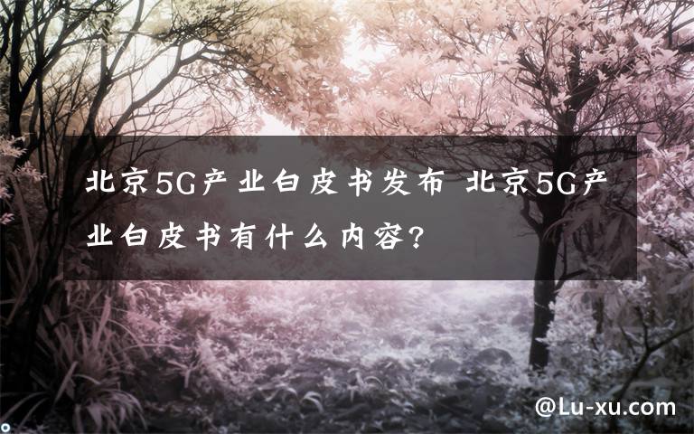 北京5G产业白皮书发布 北京5G产业白皮书有什么内容?