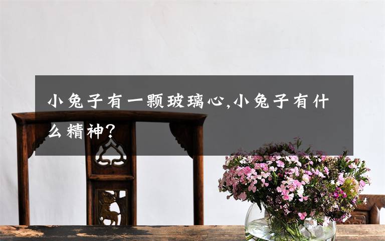 小兔子有一颗玻璃心,小兔子有什么精神？