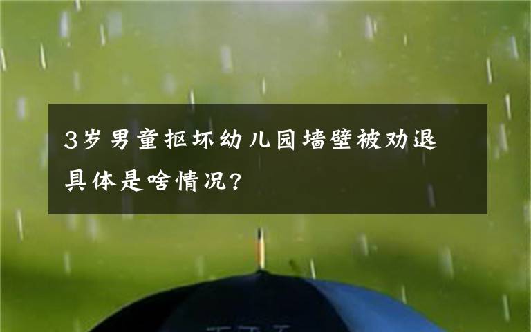 3岁男童抠坏幼儿园墙壁被劝退 具体是啥情况?