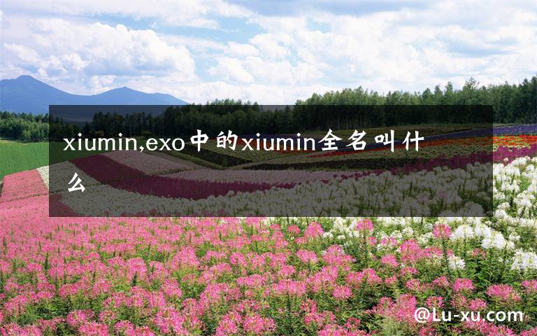 xiumin,exo中的xiumin全名叫什么