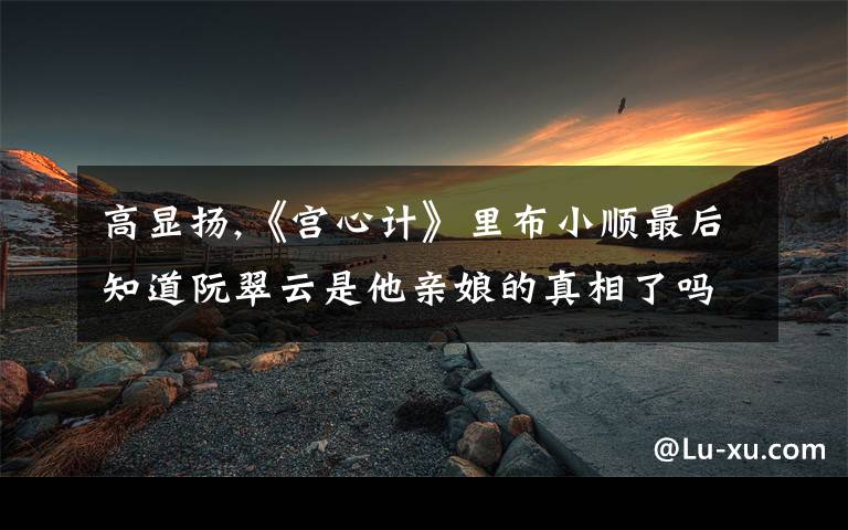 高显扬,《宫心计》里布小顺最后知道阮翠云是他亲娘的真相了吗？