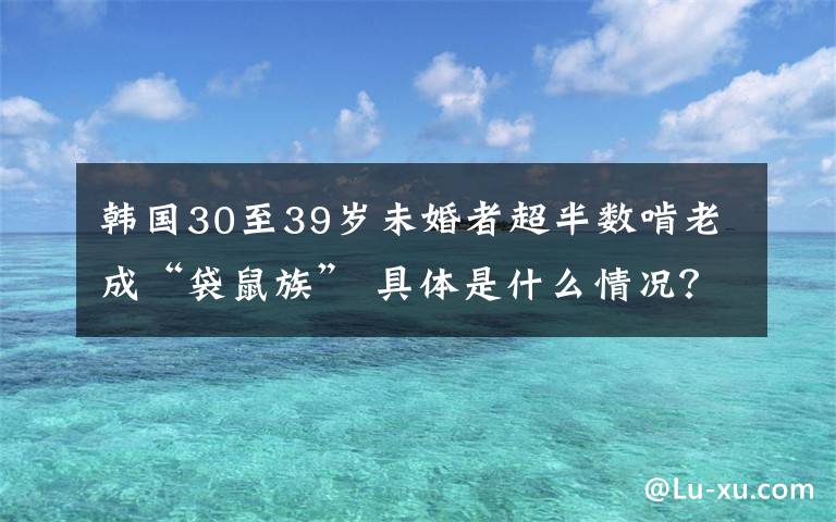 韩国30至39岁未婚者超半数啃老成“袋鼠族” 具体是什么情况？