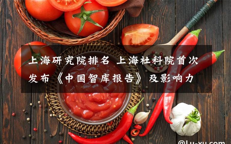 上海研究院排名 上海社科院首次发布《中国智库报告》及影响力排名
