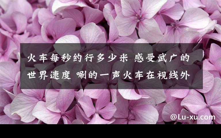 火车每秒约行多少米 感受武广的世界速度 唰的一声火车在视线外/图