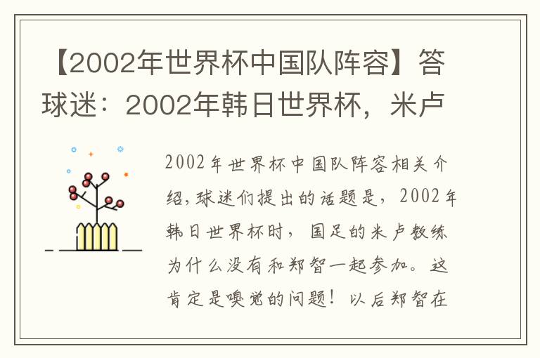 【2002年世界杯中国队阵容】答球迷：2002年韩日世界杯，米卢为何没有选择带郑智呢？