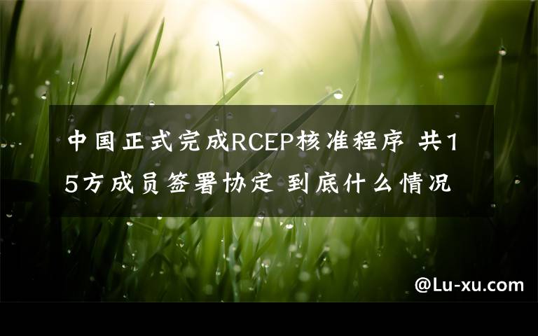 中国正式完成RCEP核准程序 共15方成员签署协定 到底什么情况呢？