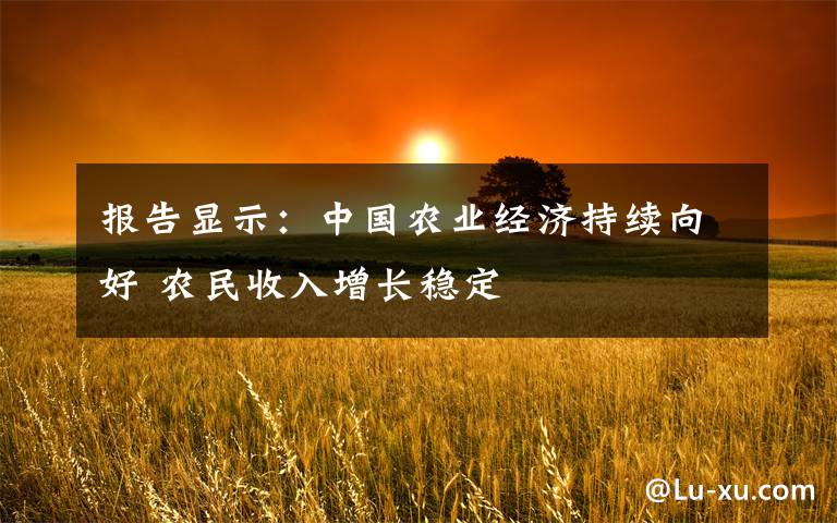 报告显示：中国农业经济持续向好 农民收入增长稳定