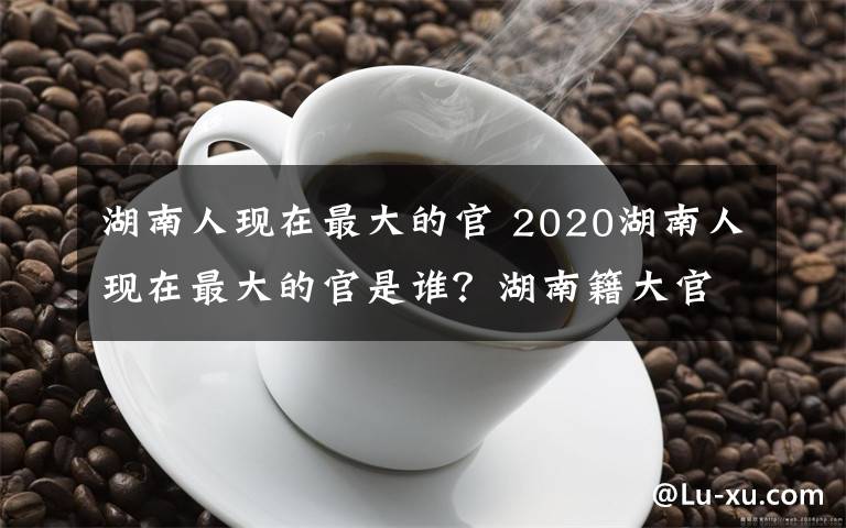 湖南人现在最大的官 2020湖南人现在最大的官是谁？湖南籍大官名单一览