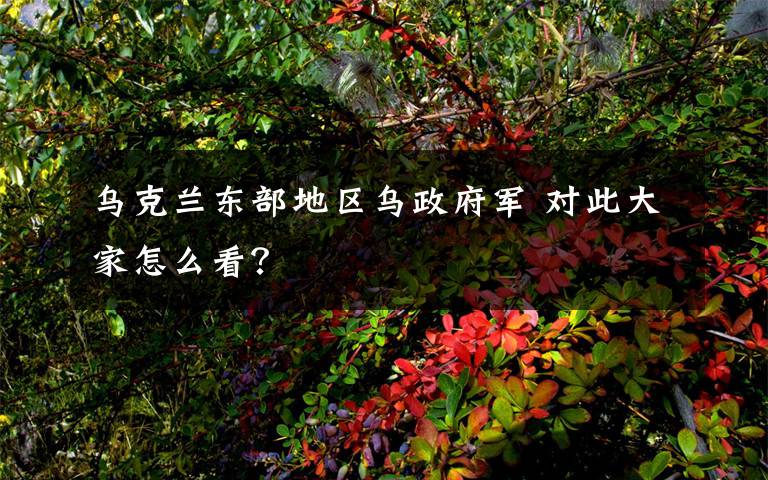 乌克兰东部地区乌政府军 对此大家怎么看？