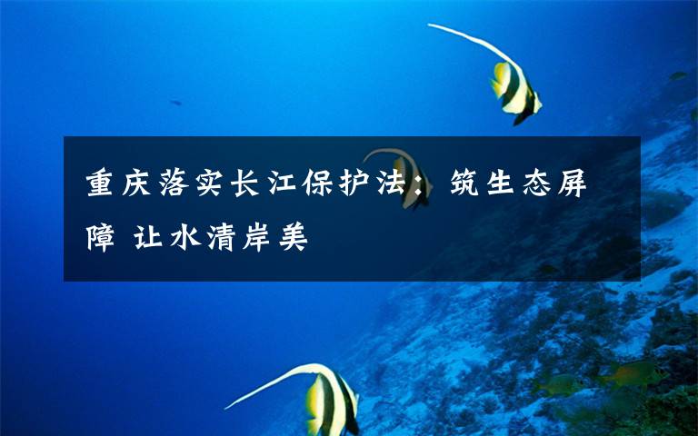 重庆落实长江保护法：筑生态屏障 让水清岸美