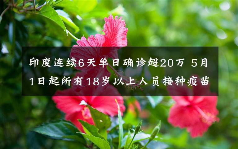 印度连续6天单日确诊超20万 5月1日起所有18岁以上人员接种疫苗 过程真相详细揭秘！