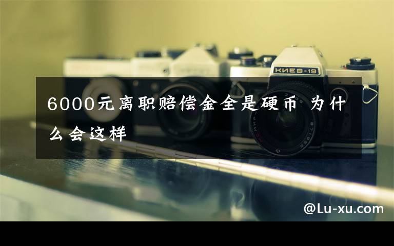 6000元离职赔偿金全是硬币 为什么会这样