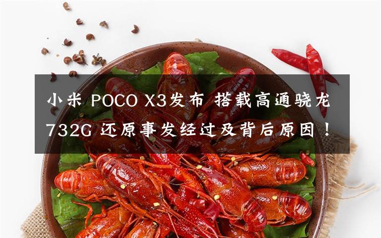 小米 POCO X3发布 搭载高通骁龙732G 还原事发经过及背后原因！