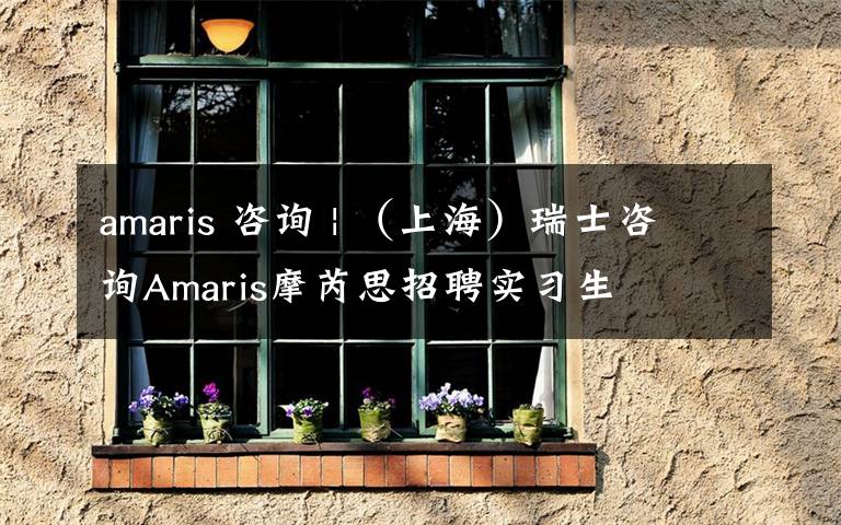 amaris 咨询 | （上海）瑞士咨询Amaris摩芮思招聘实习生