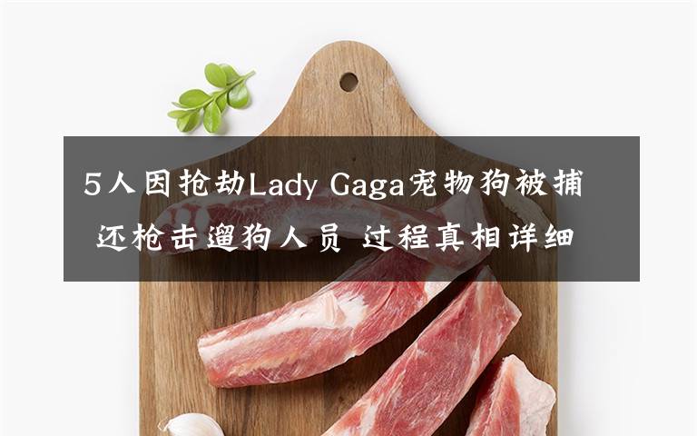 5人因抢劫Lady Gaga宠物狗被捕 还枪击遛狗人员 过程真相详细揭秘！