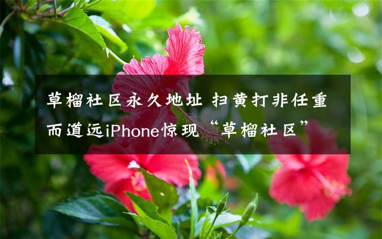 草榴社区永久地址 扫黄打非任重而道远iPhone惊现“草榴社区”APP版