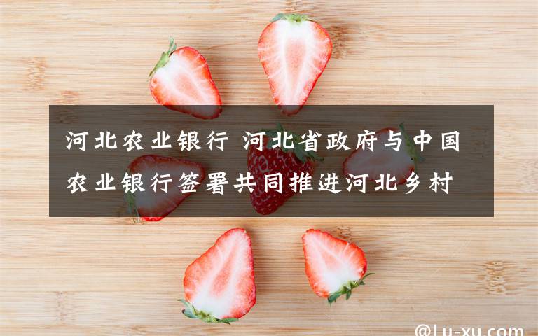 河北农业银行 河北省政府与中国农业银行签署共同推进河北乡村振兴战略实施合作协议