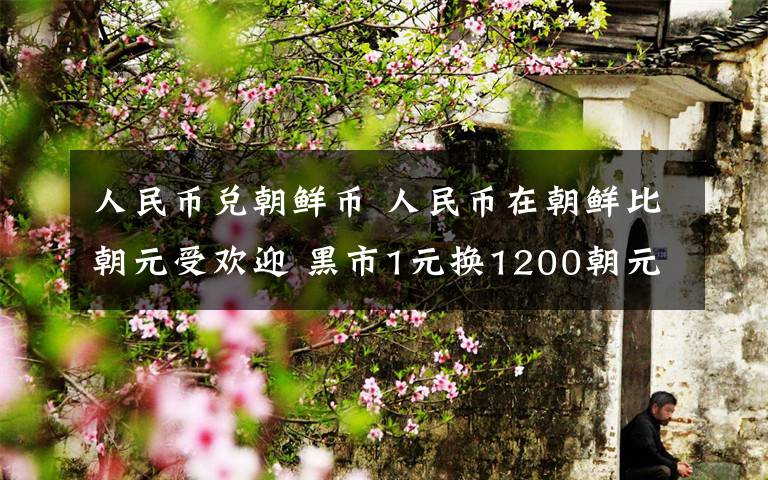 人民币兑朝鲜币 人民币在朝鲜比朝元受欢迎 黑市1元换1200朝元