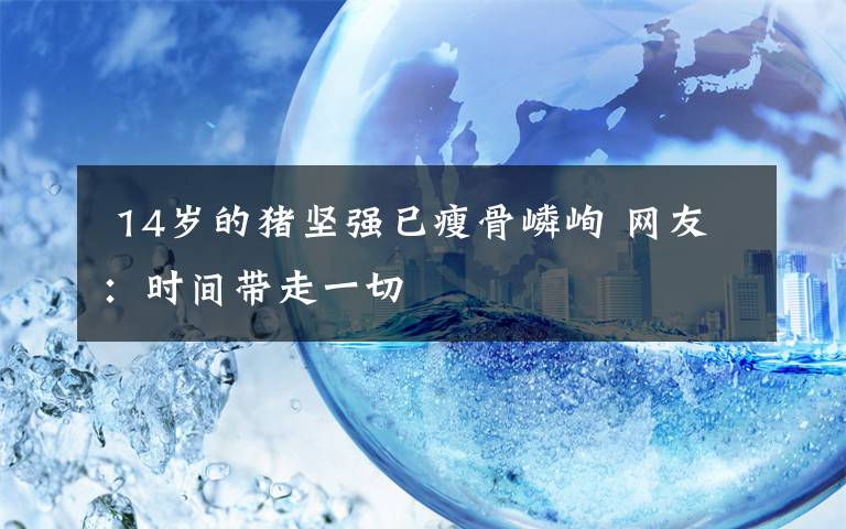  14岁的猪坚强已瘦骨嶙峋 网友：时间带走一切