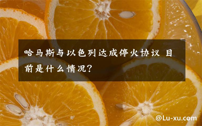 哈马斯与以色列达成停火协议 目前是什么情况？