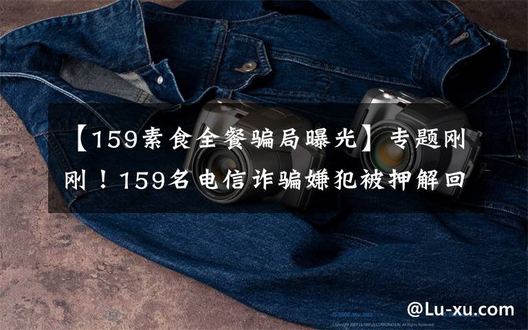 【159素食全餐骗局曝光】专题刚刚！159名电信诈骗嫌犯被押解回洛阳