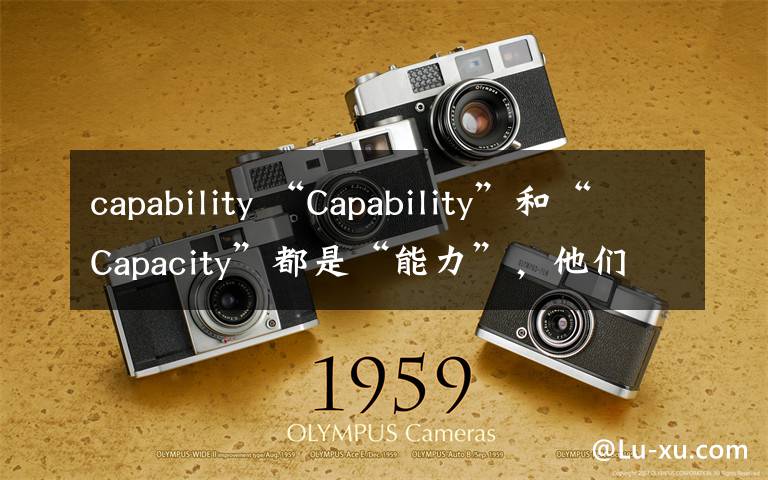 capability “Capability”和“Capacity”都是“能力”，他们到底一不