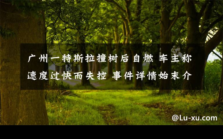 广州一特斯拉撞树后自燃 车主称速度过快而失控 事件详情始末介绍！