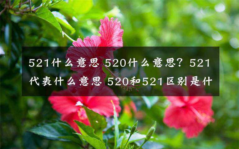 521什么意思 520什么意思？521代表什么意思 520和521区别是什么又叫什么