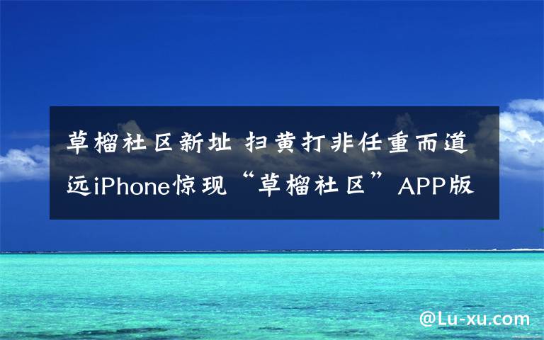 草榴社区新址 扫黄打非任重而道远iPhone惊现“草榴社区”APP版