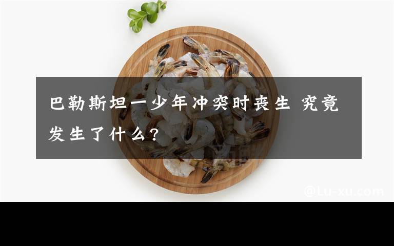 巴勒斯坦一少年冲突时丧生 究竟发生了什么?