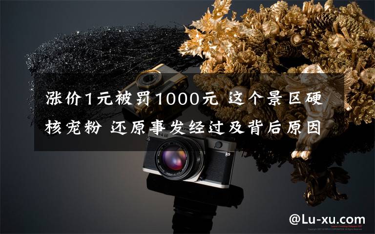 涨价1元被罚1000元 这个景区硬核宠粉 还原事发经过及背后原因！