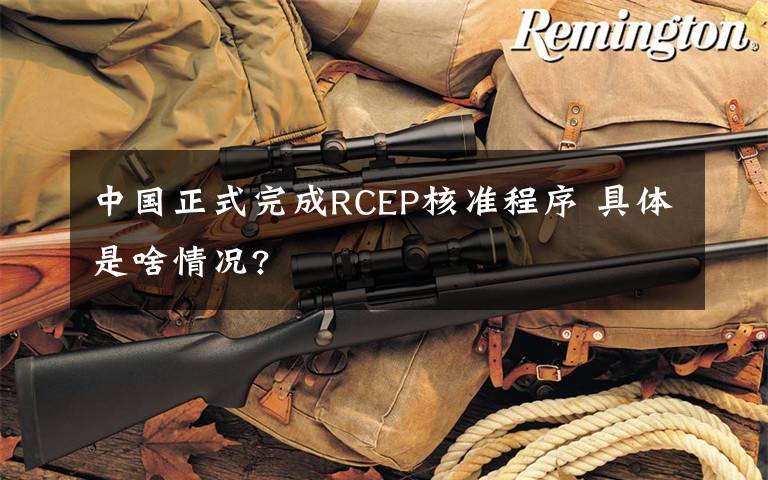 中国正式完成RCEP核准程序 具体是啥情况?