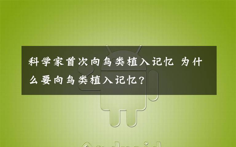 科学家首次向鸟类植入记忆 为什么要向鸟类植入记忆?