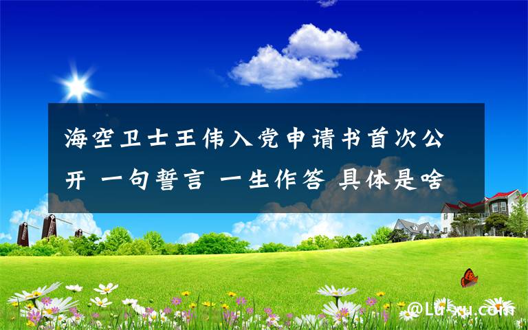 海空卫士王伟入党申请书首次公开 一句誓言 一生作答 具体是啥情况?