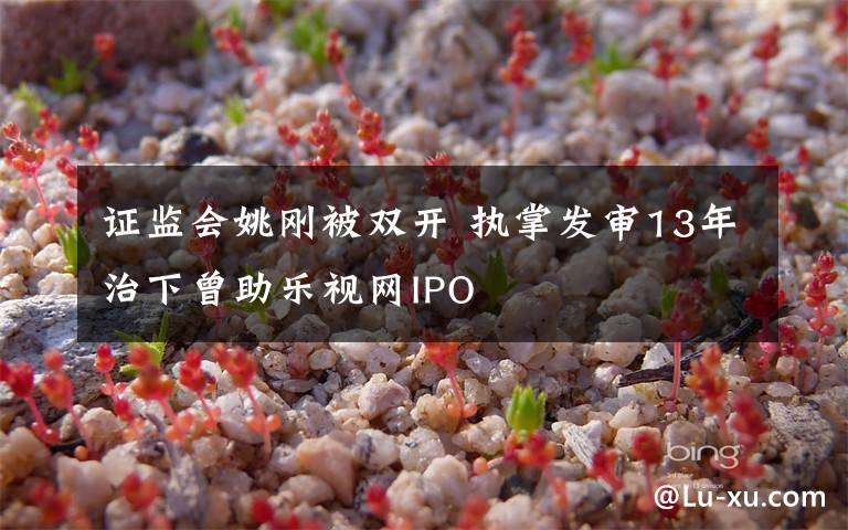 证监会姚刚被双开 执掌发审13年治下曾助乐视网IPO